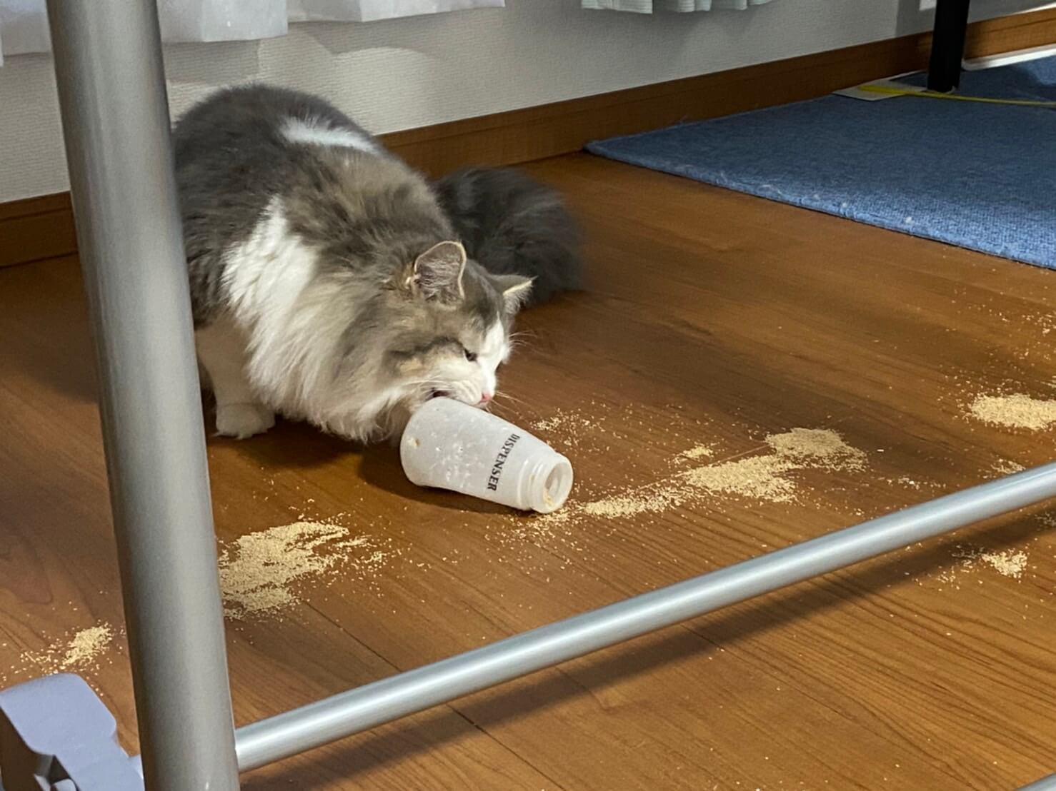 こんぶのイタズラ02