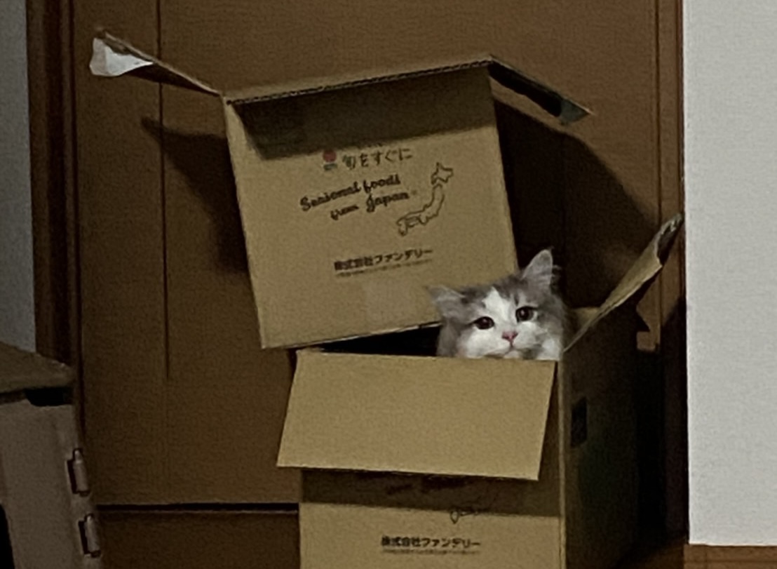 にぼしの箱入り01